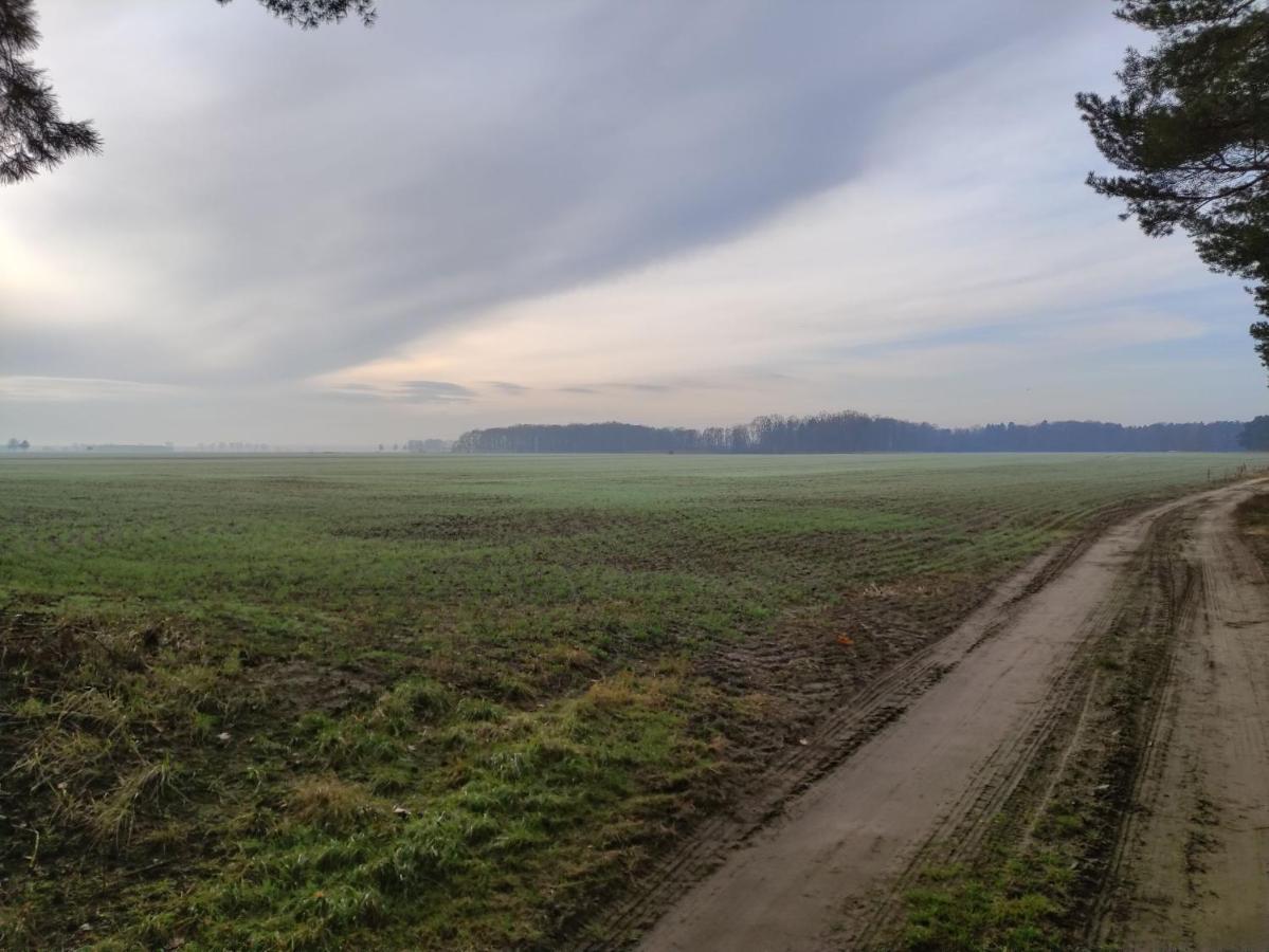 Ferienhaus Erna Doberlug-Kirchhain Buitenkant foto