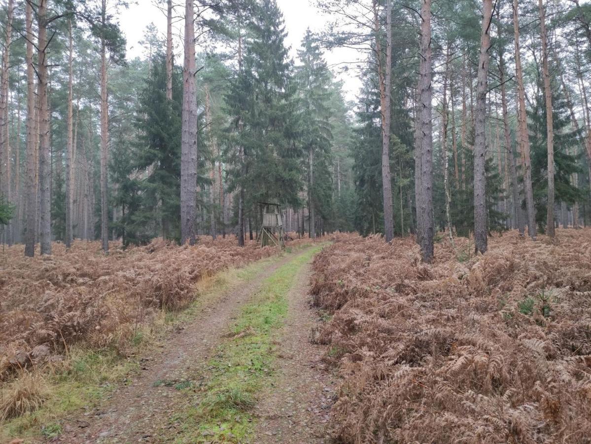 Ferienhaus Erna Doberlug-Kirchhain Buitenkant foto