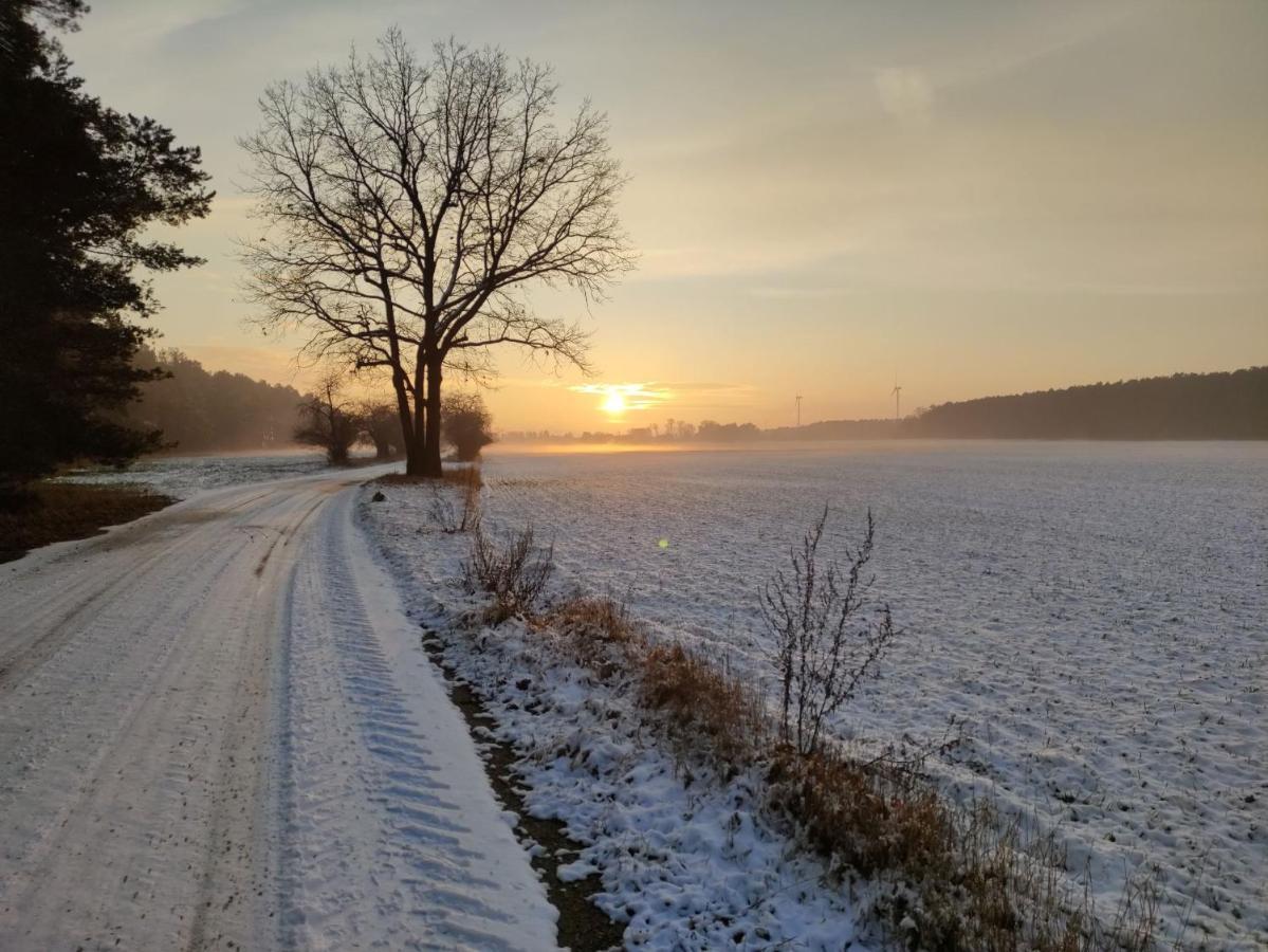 Ferienhaus Erna Doberlug-Kirchhain Buitenkant foto