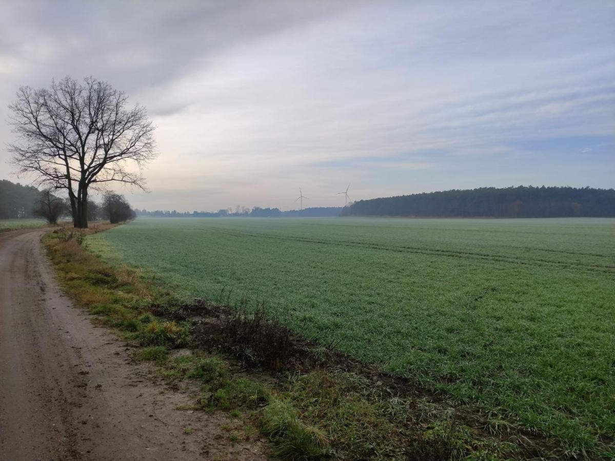 Ferienhaus Erna Doberlug-Kirchhain Buitenkant foto