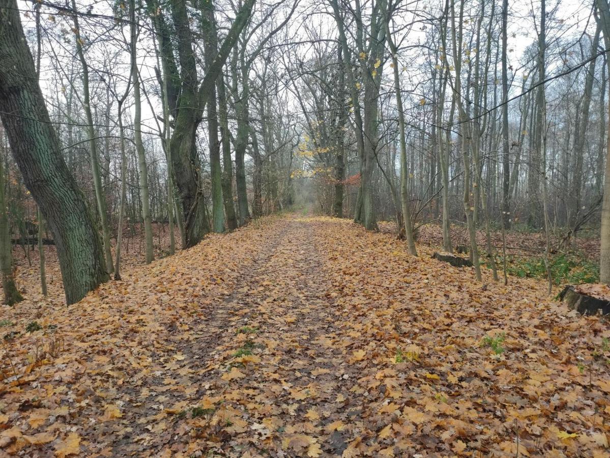Ferienhaus Erna Doberlug-Kirchhain Buitenkant foto